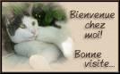 bienvenu dans mon blog